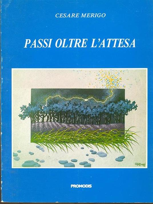 Passi oltre l'attesa - Cesare Merigo - copertina