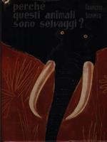 Perchè questi animali sono selvaggi?