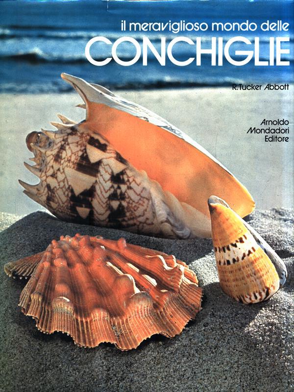 Il meraviglioso mondo delle Conchiglie