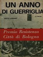 Un anno di guerriglia