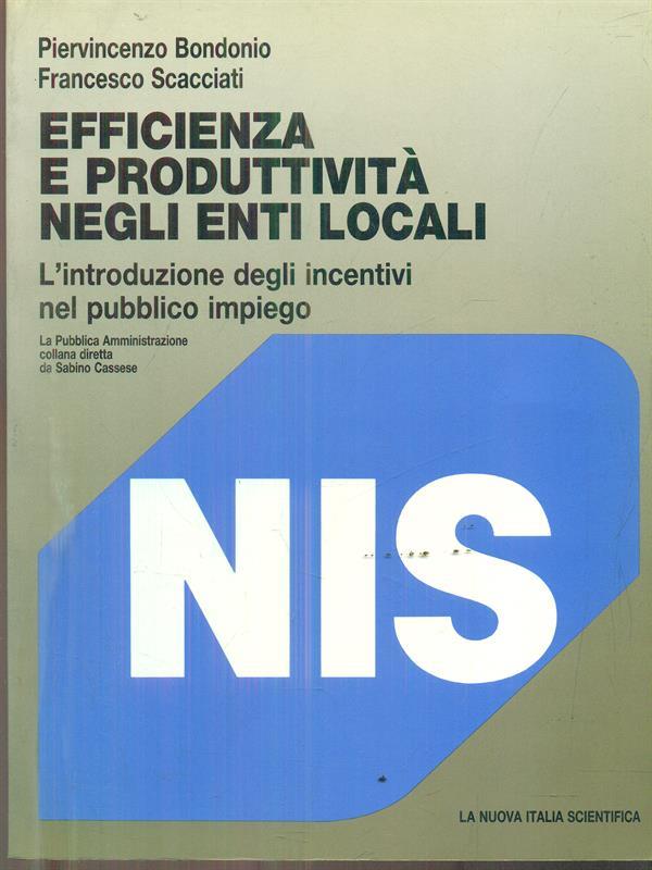 Efficienza e produttività negli enti locali. L'introduzione degli incentivi nel pubblico impiego