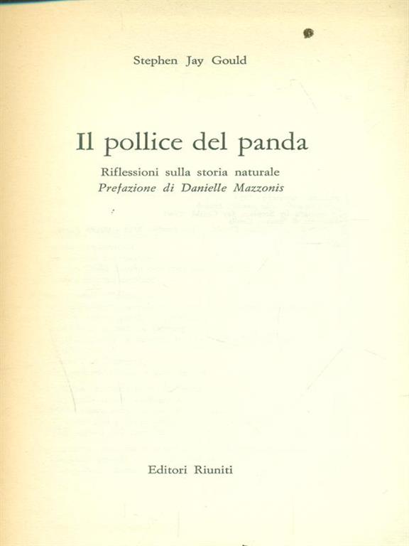 Il Ghigno Libreria - "Un mare di storie"