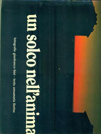 Un solco nell'anima - gianfranco Bini - copertina