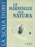 Le meraviglie della natura