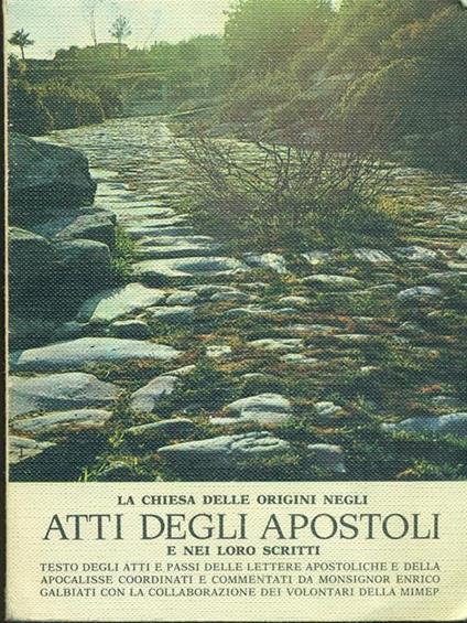 La aa.vv.Chiesa delle origini negli atti degli Apostoli e nei loro scritti - copertina