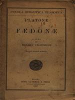   Fedone