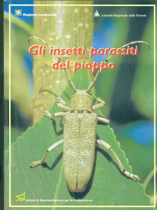 Gli insetti parassiti del pioppo - copertina