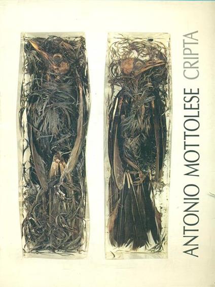 Antonio Mottolese Cripta - Maurizio Cecchetti - copertina