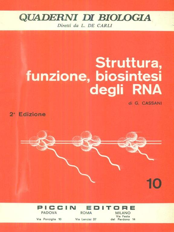 Libreria Max 88