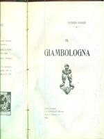 Il giambologna