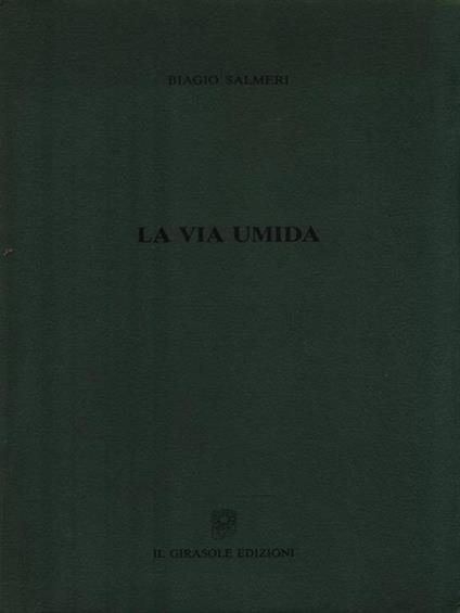 La via umida - Biagio Salmeri - copertina