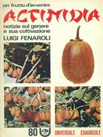 Actinidia