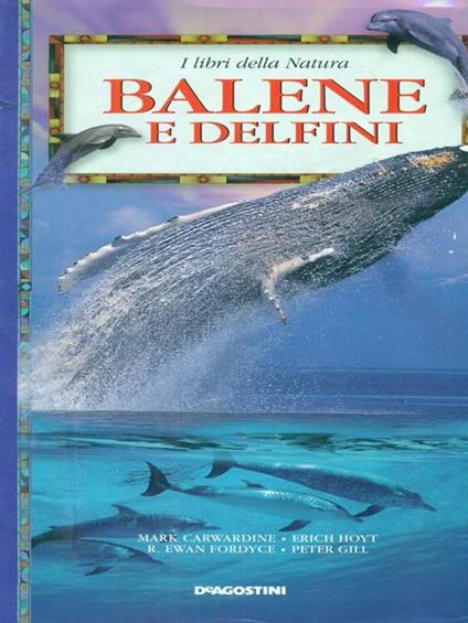 Balene e delfini - copertina