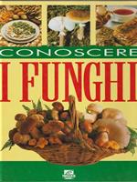 Conoscere i funghi