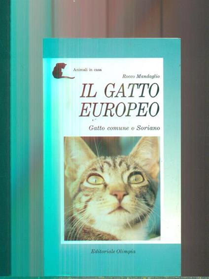 Il gatto europeo - Rocco Mandaglio - copertina