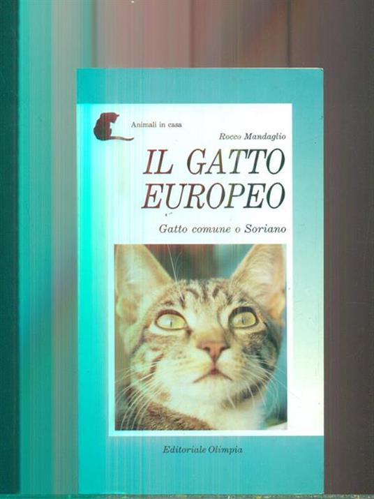 Il gatto europeo - Rocco Mandaglio - copertina