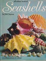   Seashelles