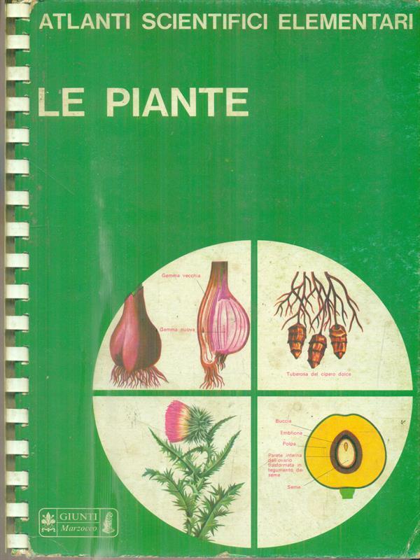 Le piante