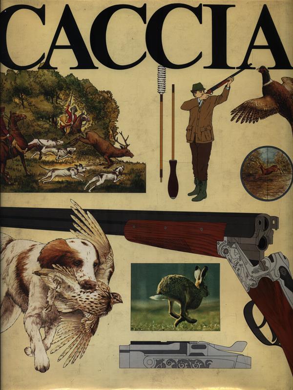   Caccia