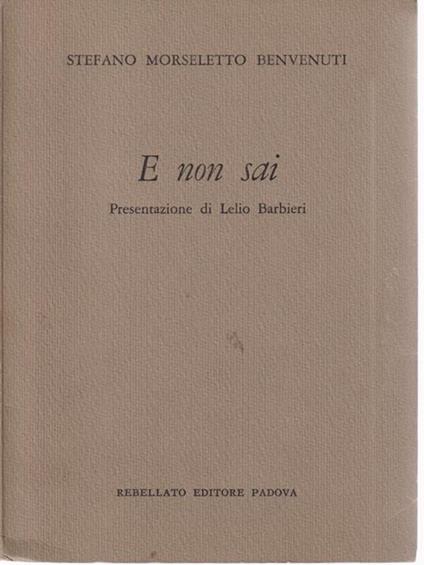   E non sai - Stefano Morseletto Benvenuti - copertina