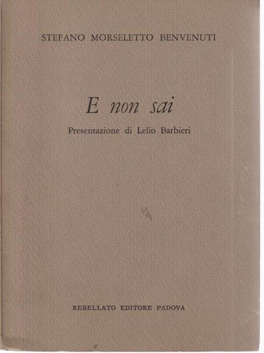   E non sai - Stefano Morseletto Benvenuti - copertina