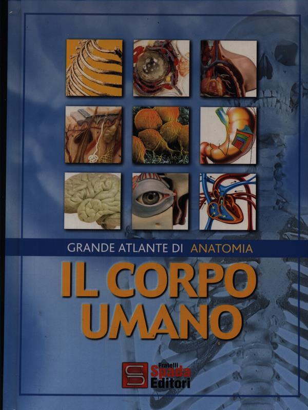 Il corpo umano