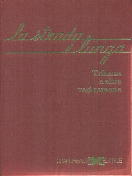 strada è lunga + 2 musicassette - copertina