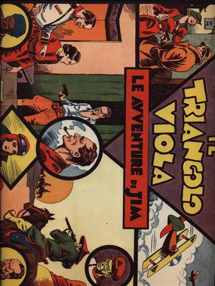 Il triangolo viola - copertina