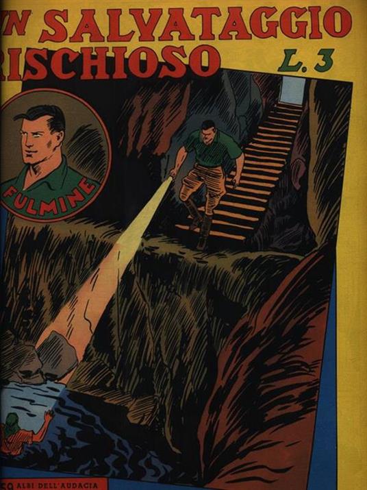 Un salvataggio rischioso - copertina