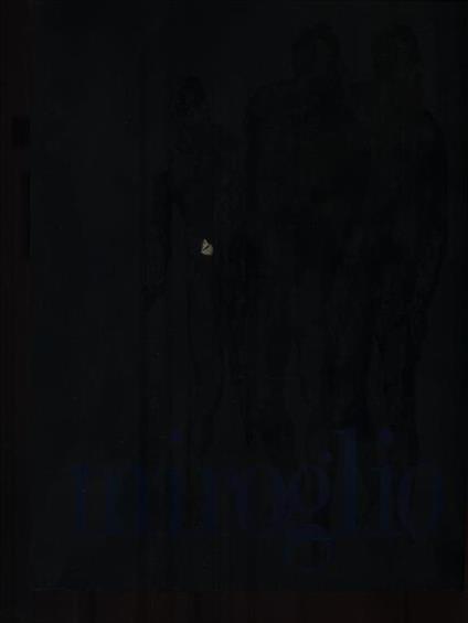 Valerio Miroglio. Monografia - copertina