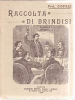 Raccolta di Brindisi