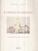 Il castello di Calenzano. Studi e rilievi per una prospettiva di recupero