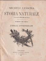   Storia naturale illustrata. Animali invertebrati