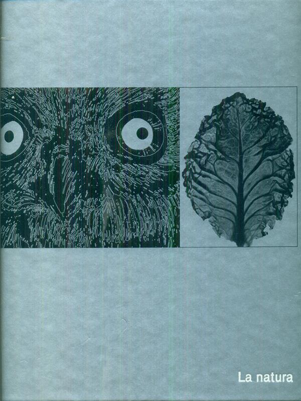 Libro di Faccia