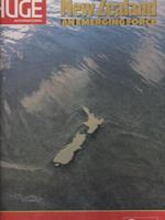 New Zealand an emerging force