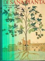 Di sana pianta