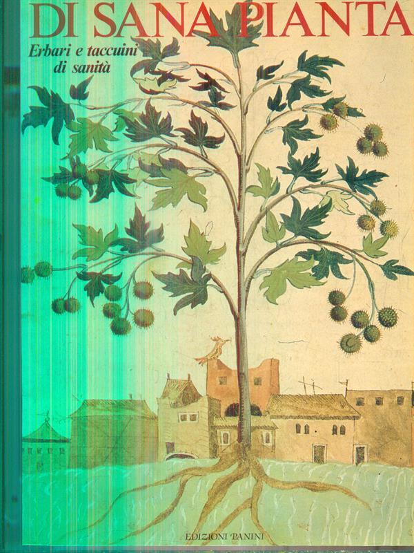Di sana pianta