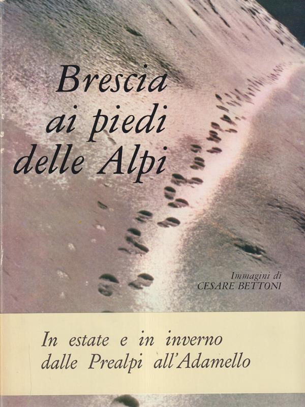 Brescia ai piedi delle Alpi