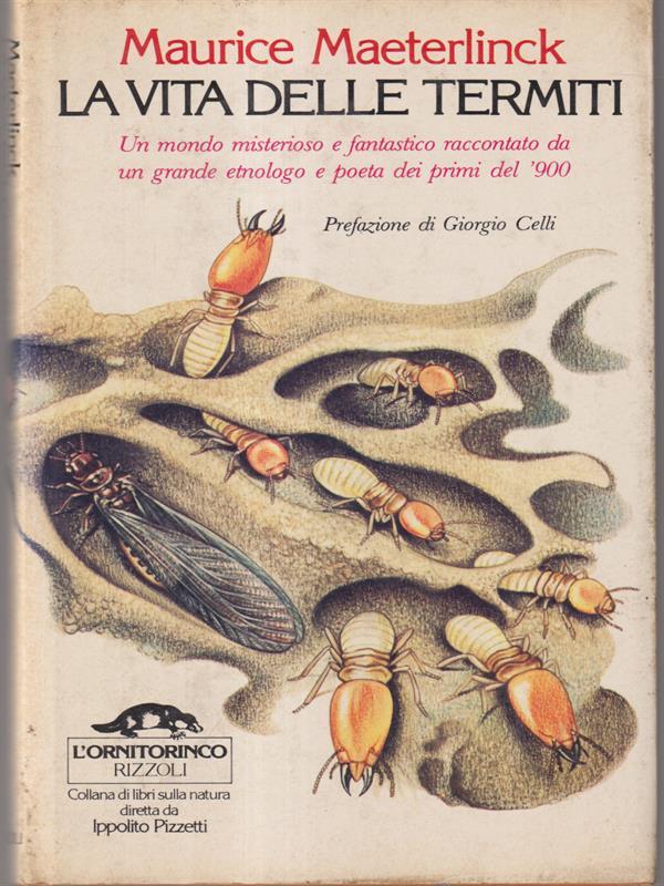 La vita delle termiti