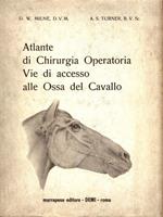 Atlante di Chirurgia Operatorio - Vie di accesso alle Ossa del Cavallo
