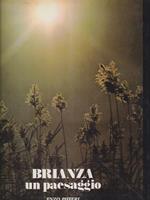 Brianza un paesaggio