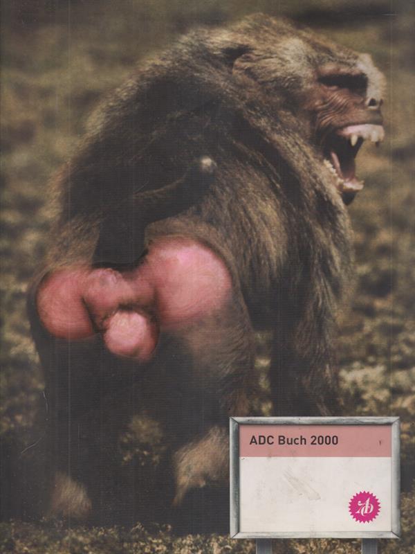 ADC Buch 2000