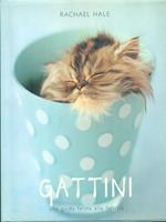 Gattini