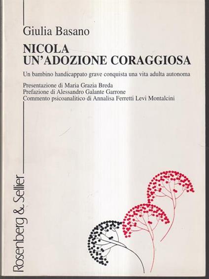 Nicola un'adozione coraggiosa - Giulia Bausano - copertina