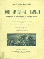 Come vivono gli animali
