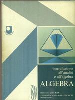 Introduzione all'analisi e all'algebra