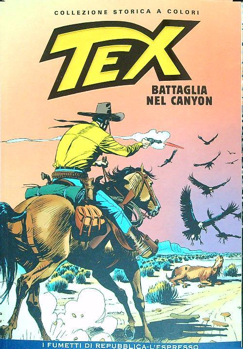Tex. Battaglia nel canyon - Gianluigi Bonelli - copertina