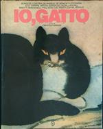 Io, gatto