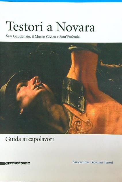 Testori a Novara - copertina