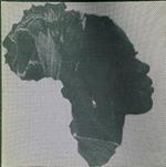 Obiettivi sull'Africa